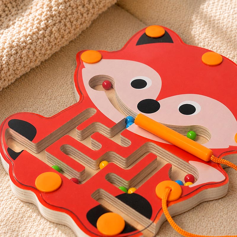 Montessori Magnetic Maze
