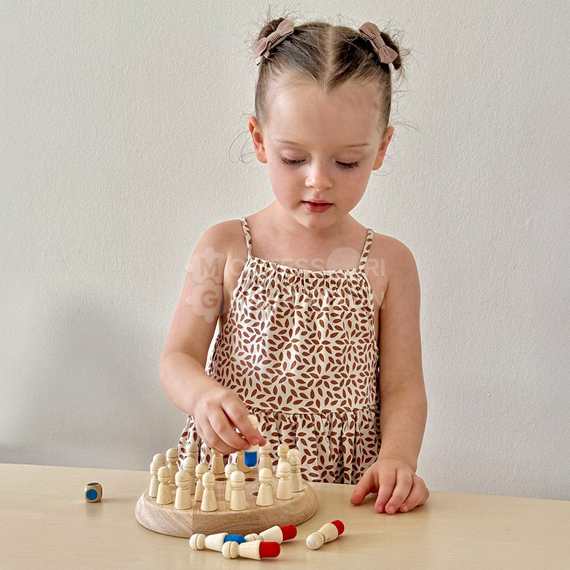 Montessori Memory Match