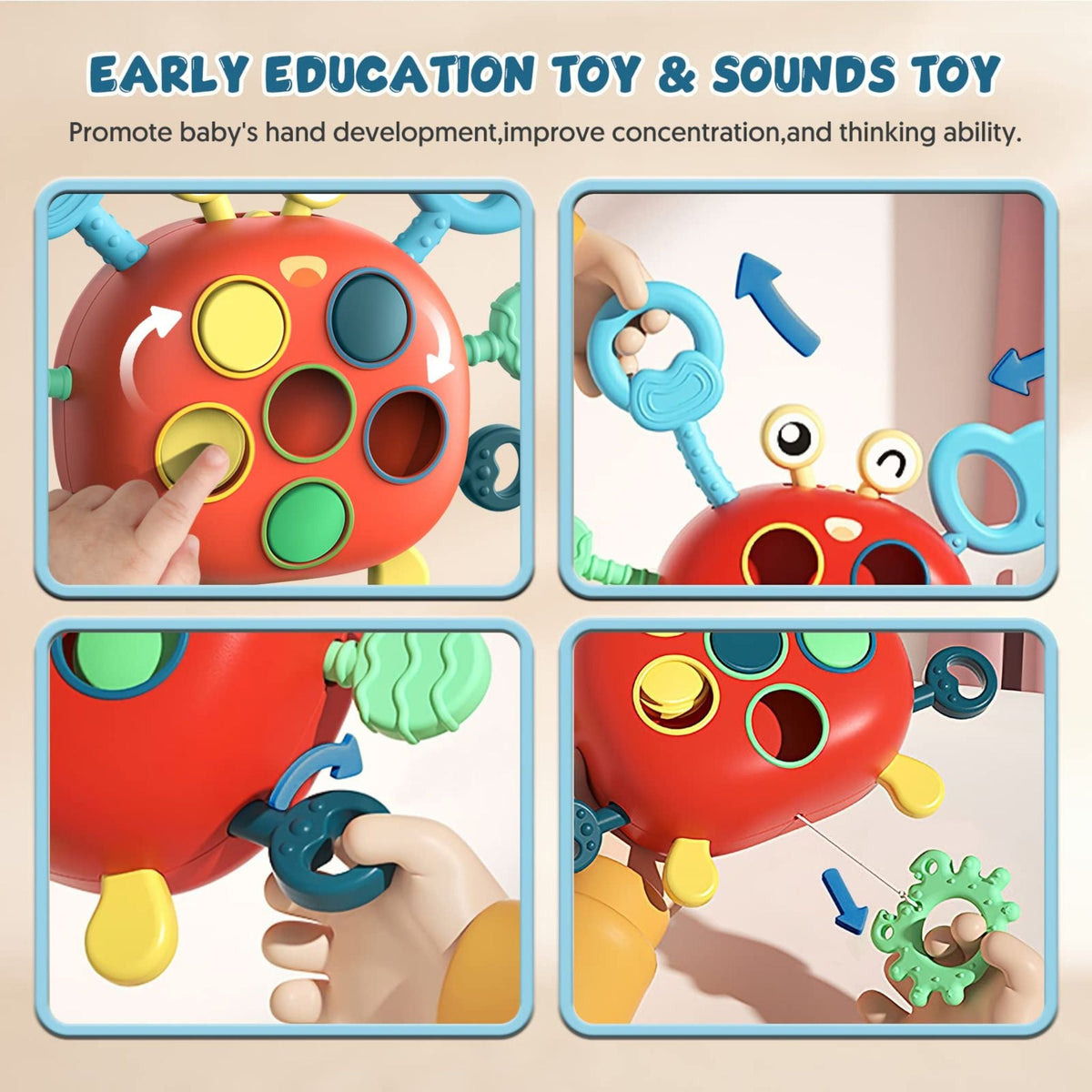 Montessori Crab Explorer