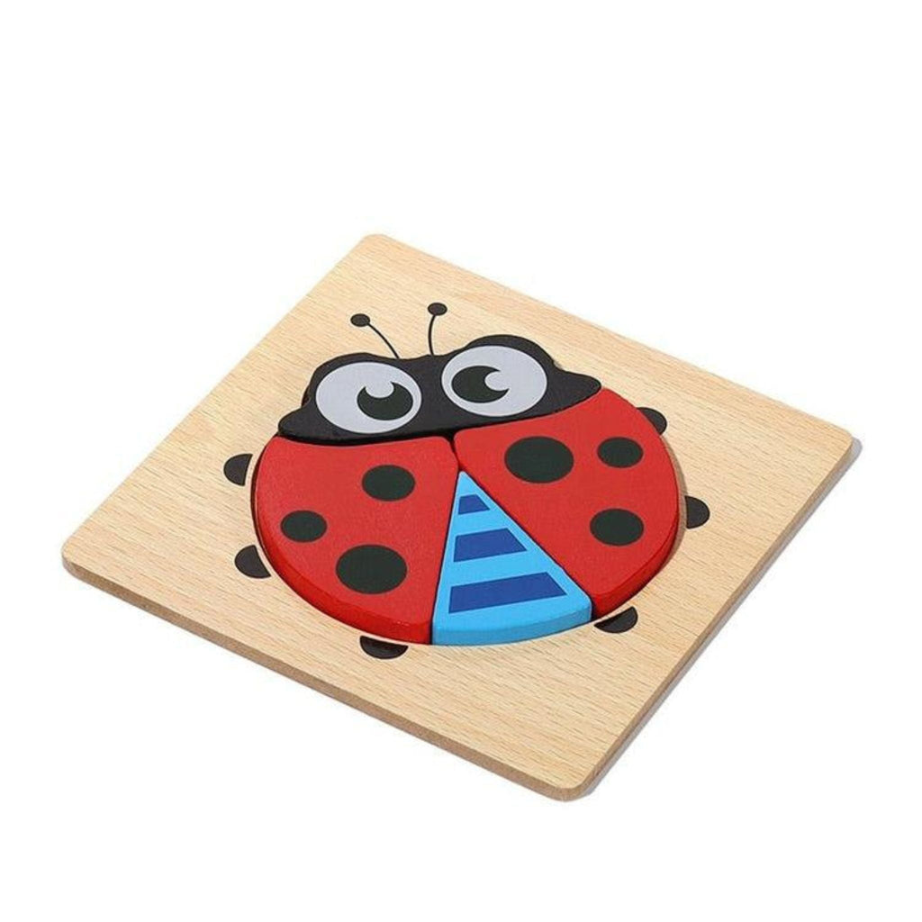 Montessori Puzzle Blocks