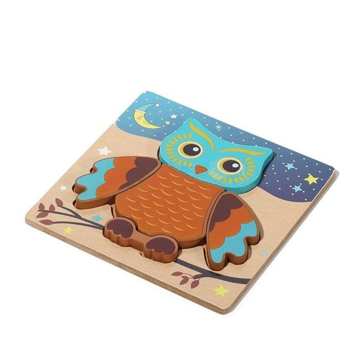 Montessori Puzzle Blocks
