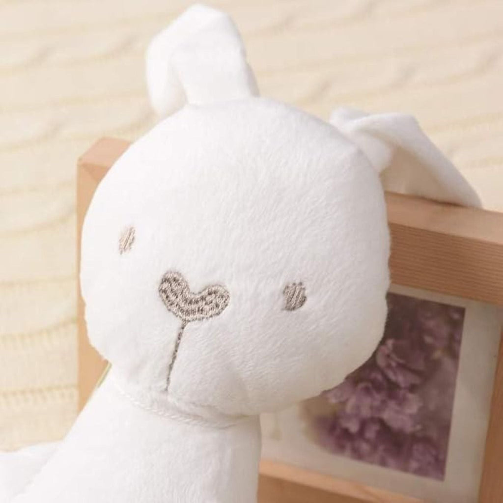 Montessori Snuggle Bunny