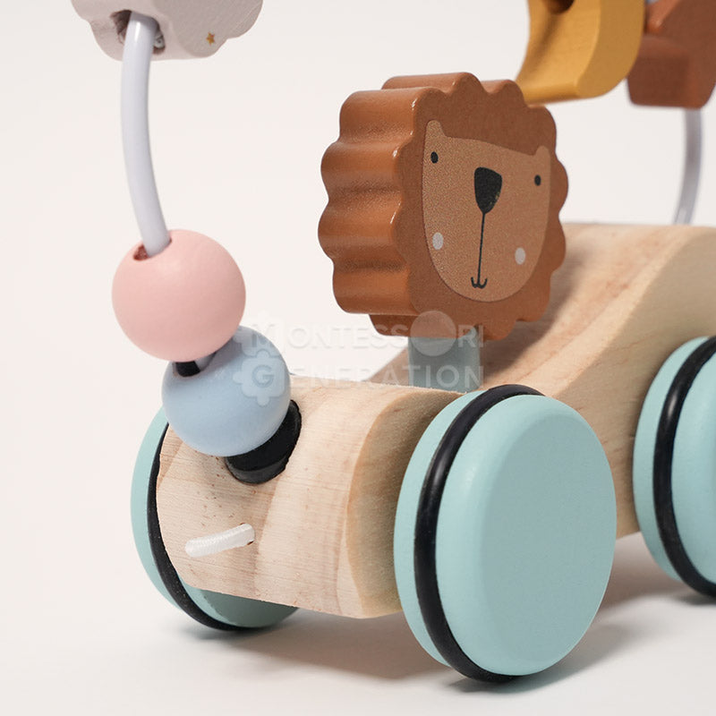 Montessori Roaring Roller