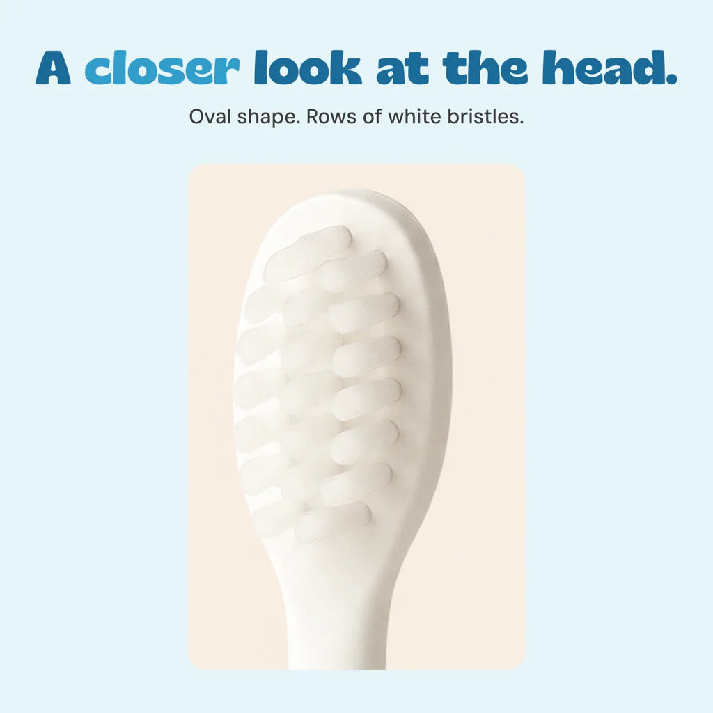 EasyBrush Brush Attachment