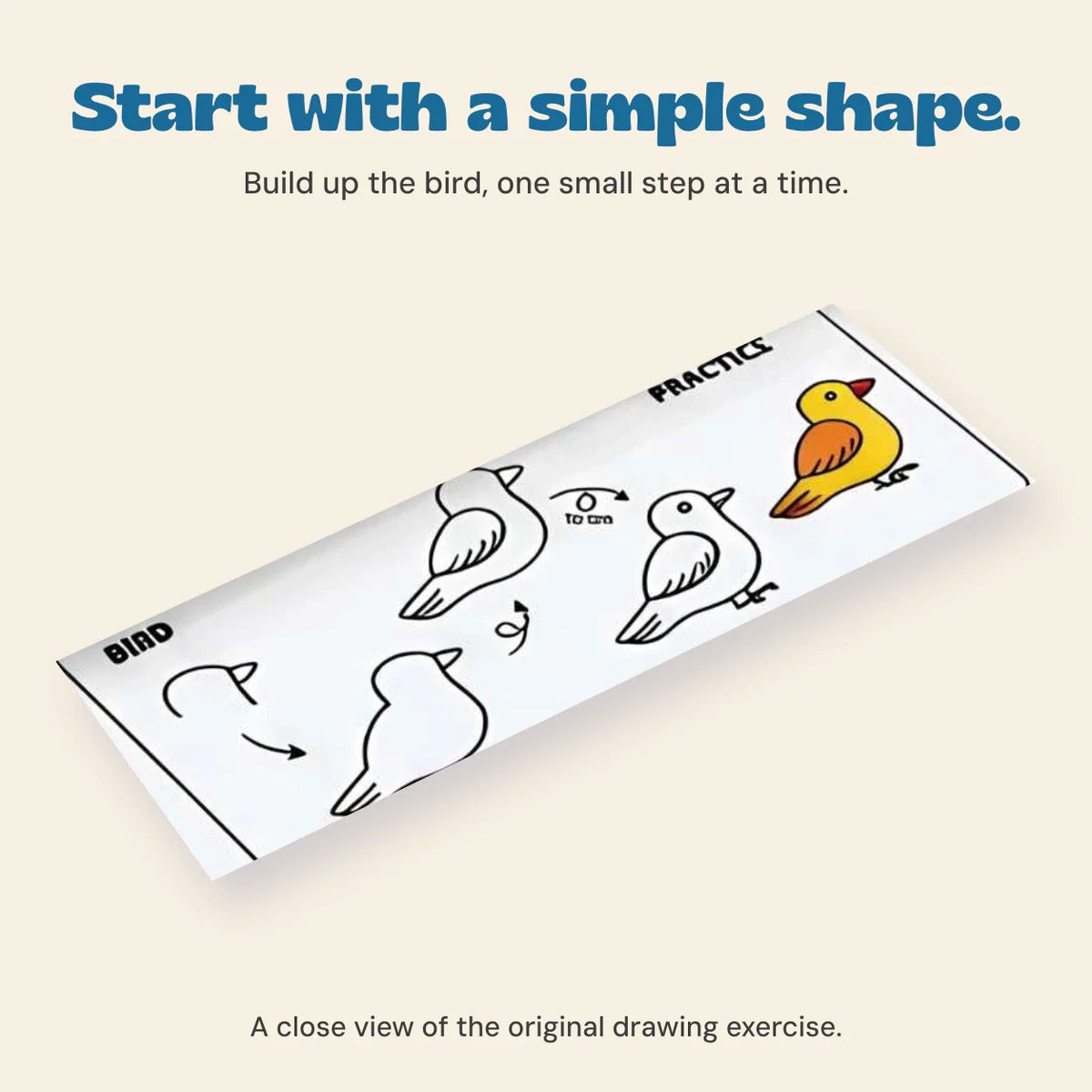 TibaToes™ Step-by-Step Drawing Workbook