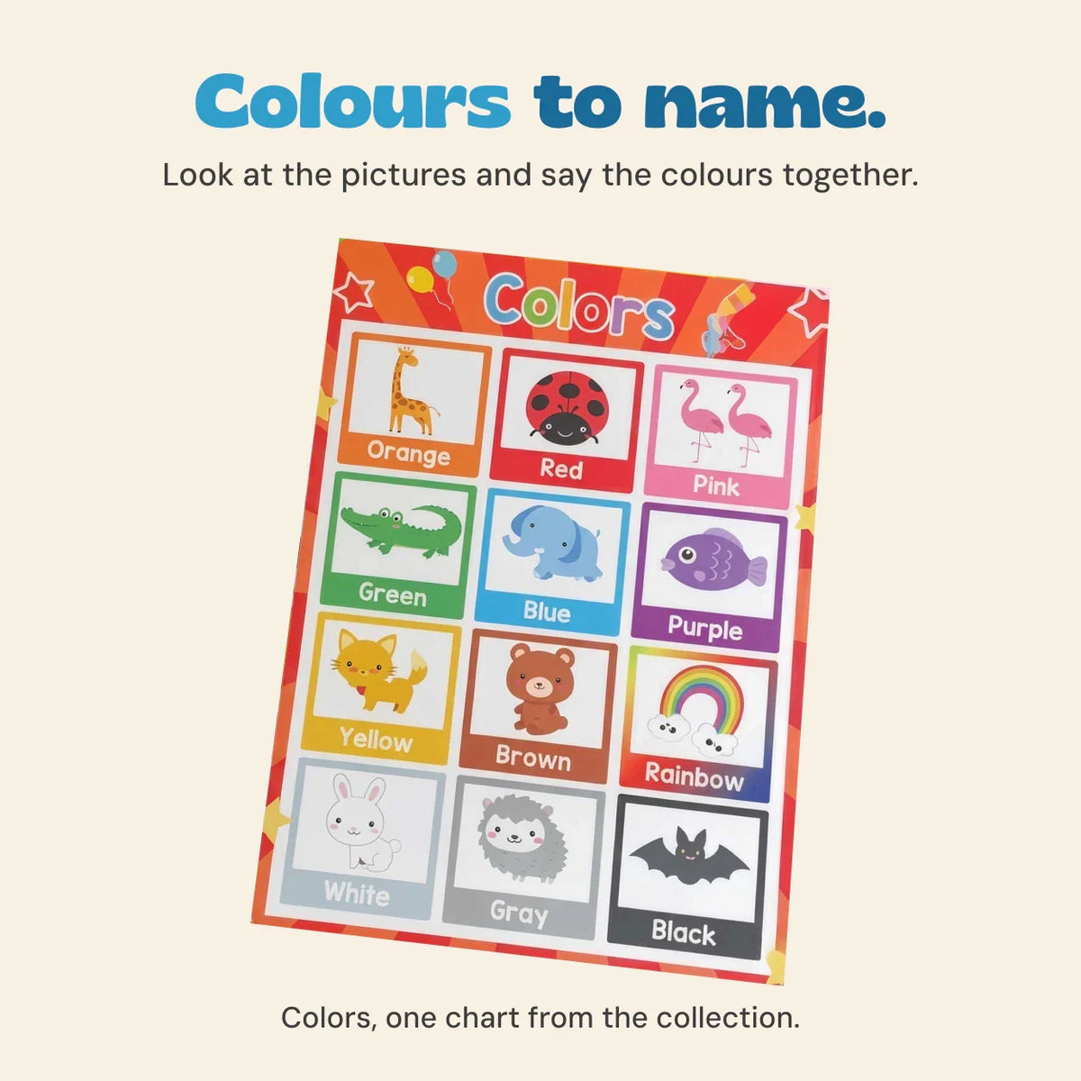 TibaToes™ Montessori Learning Posters: 20-Piece Educational Wall Chart Set for Toddlers & Preschoolers